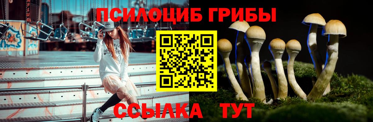 Галлюциногенные грибы Cubensis Белорецк